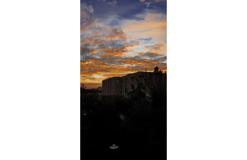 محتوا متنی یونیک سئو شده و دیتا اینتری