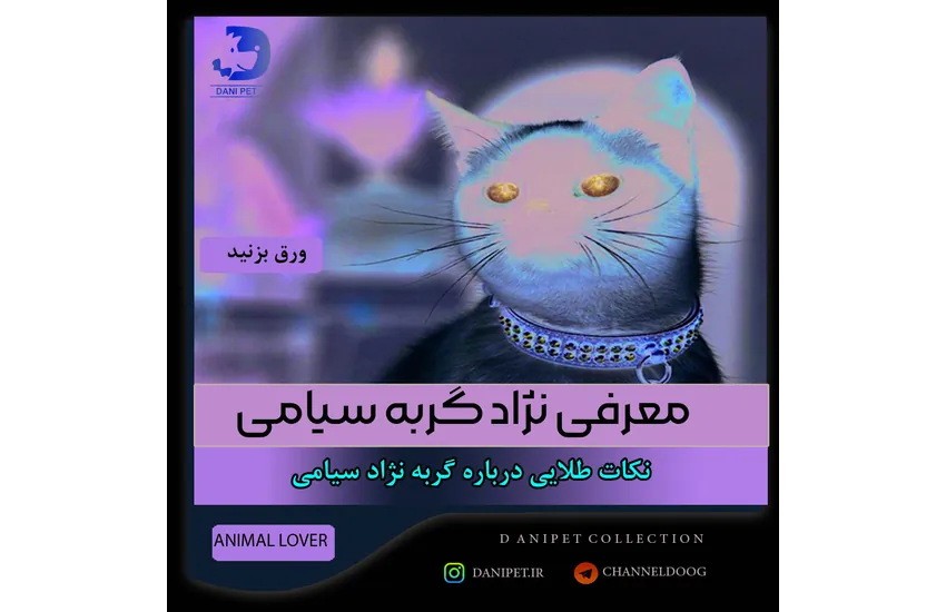 2-طراحی کاتالوگ