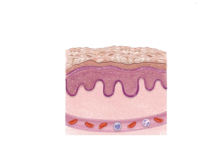 نقاشی دیجیتال از سطح پوست