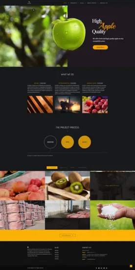 وبسایت خارجی شرکتی Ridvan در حوزه بازرگانی