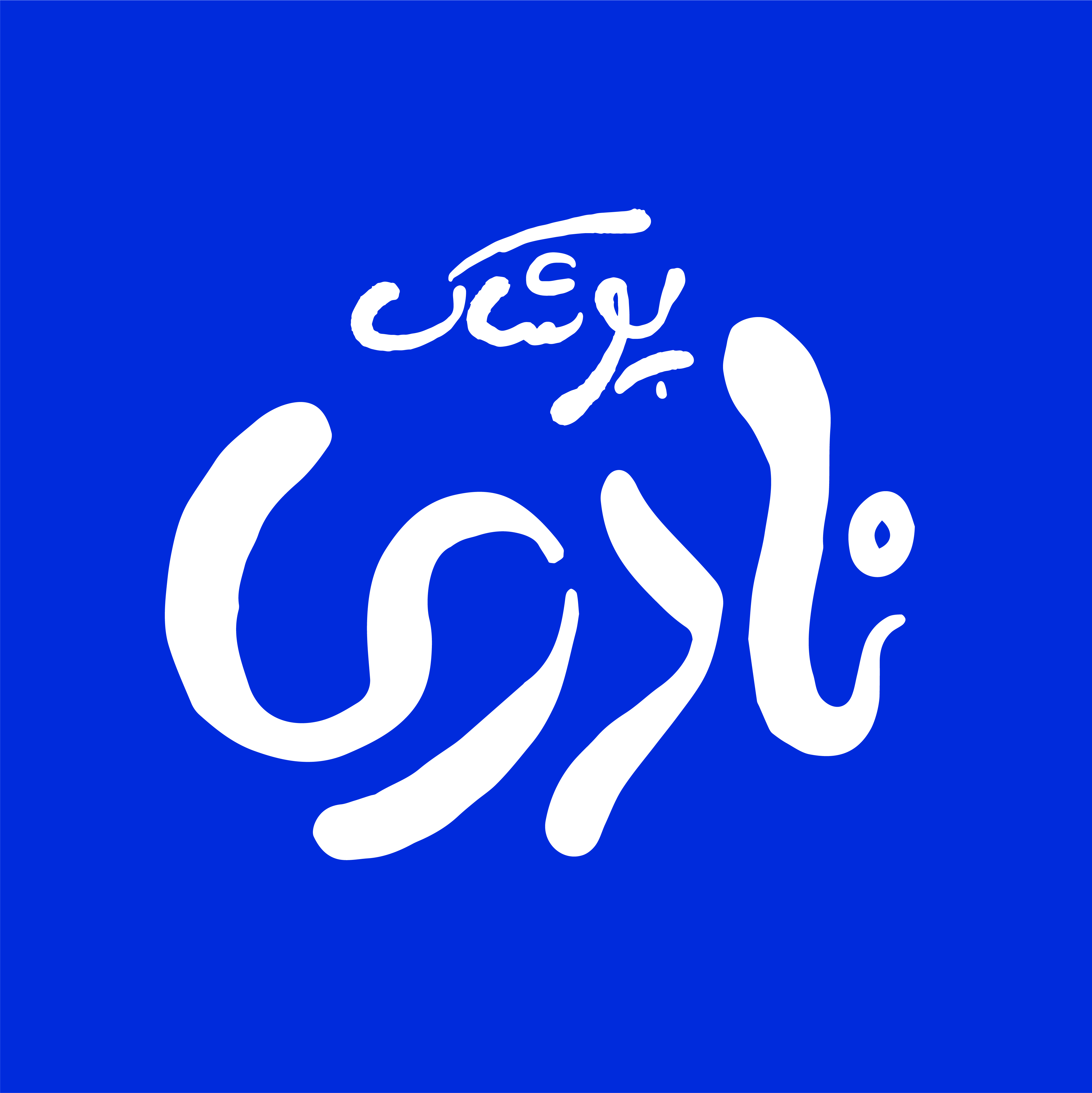 طراحی لوگو برای پوشاک نادری.