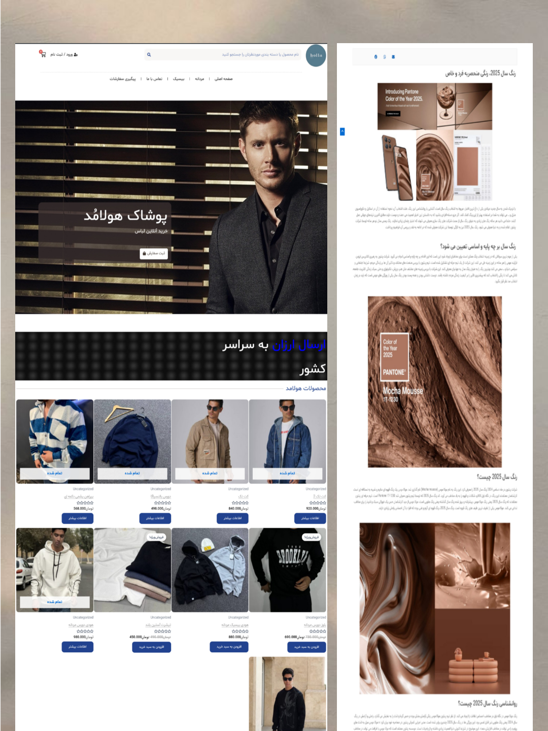 سایت فروشگاهی 