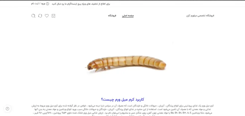 طراحی سایت فروشگاهی میلورم آران