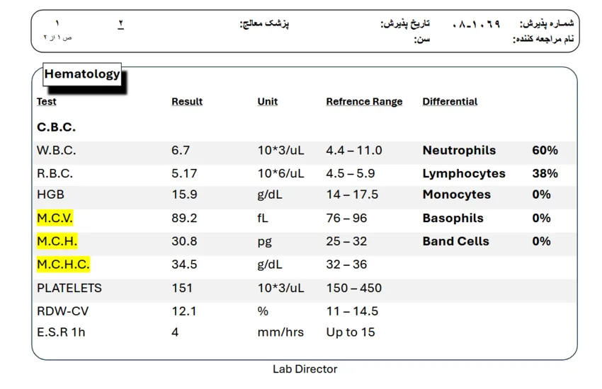 6-تایپ صوت، متن، جدول، نمودار