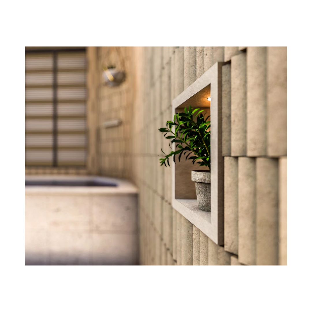 لامسه در دیدار 