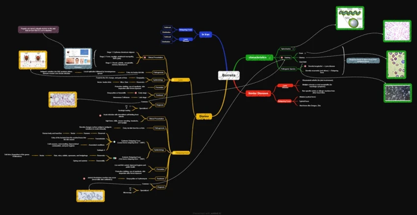 طراحی نمودار درختی