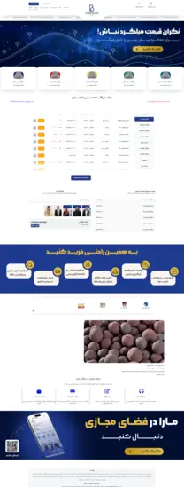 0-طراحی وبسایت شرکتی بازرگانی باران