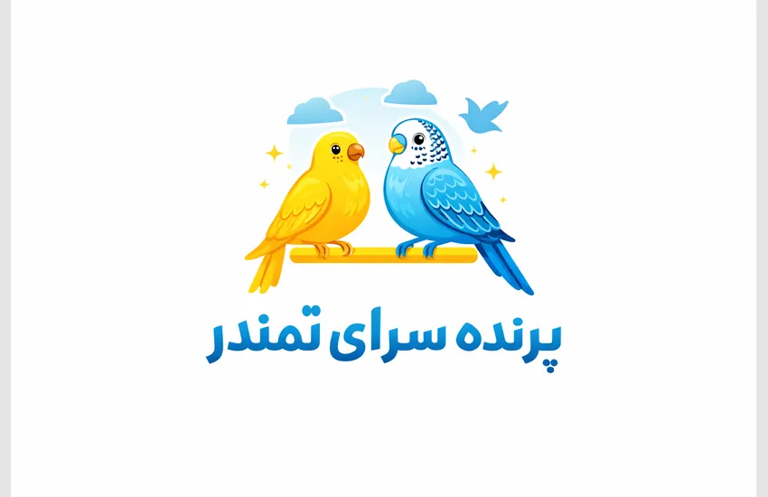 طراح لوگو