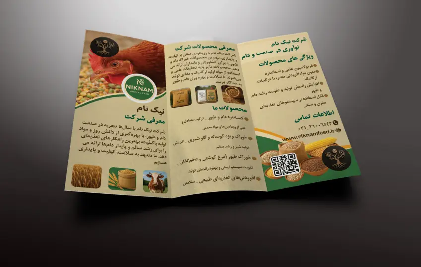 5-طراحی کارت ویزت، بروشور و پوستر