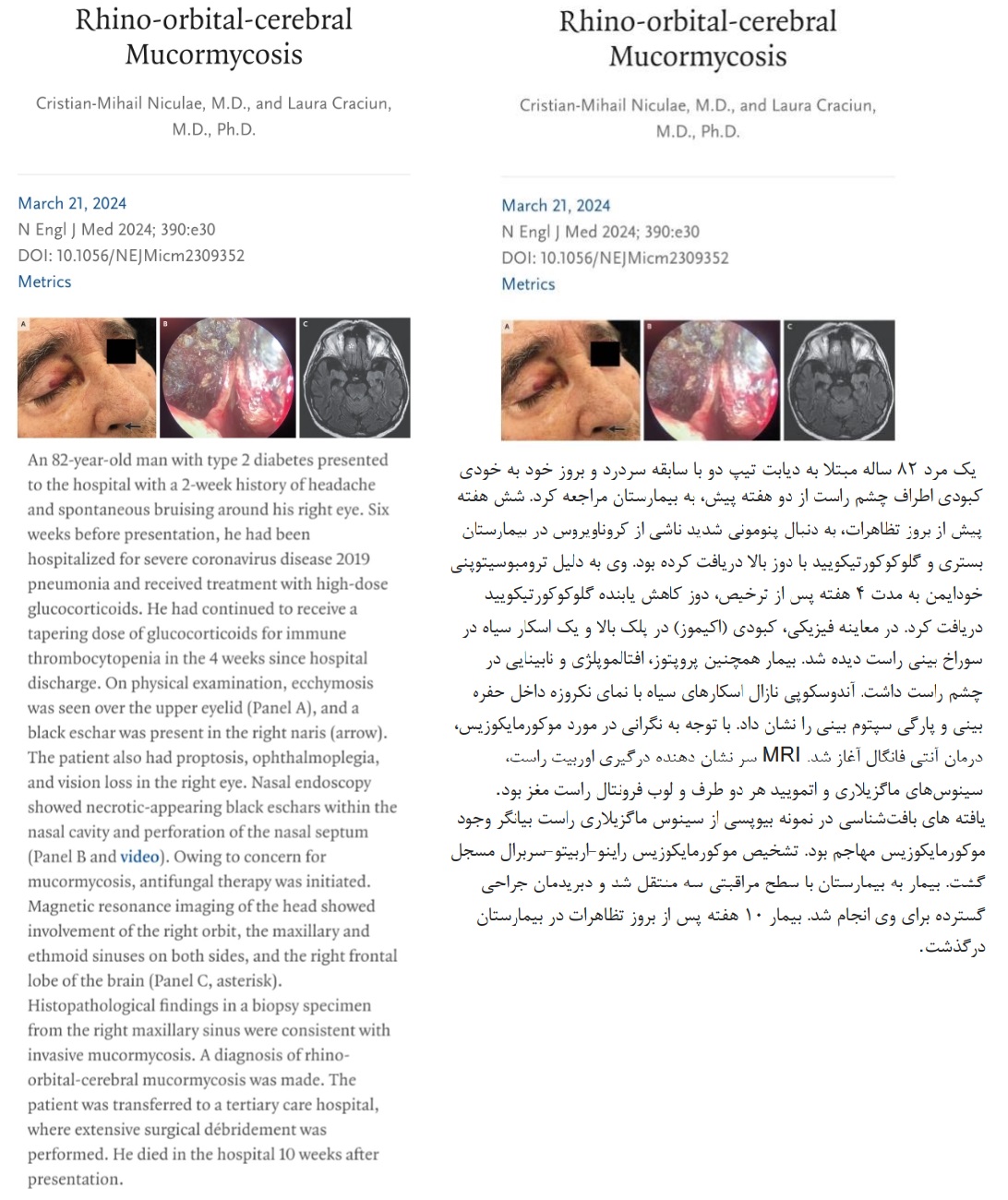 نمونه ترجمه تکست تخصصی