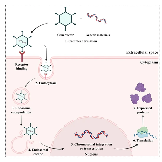 4-طراحی شکل گرافیکی برای چکیده‌ی تصویری مقاله