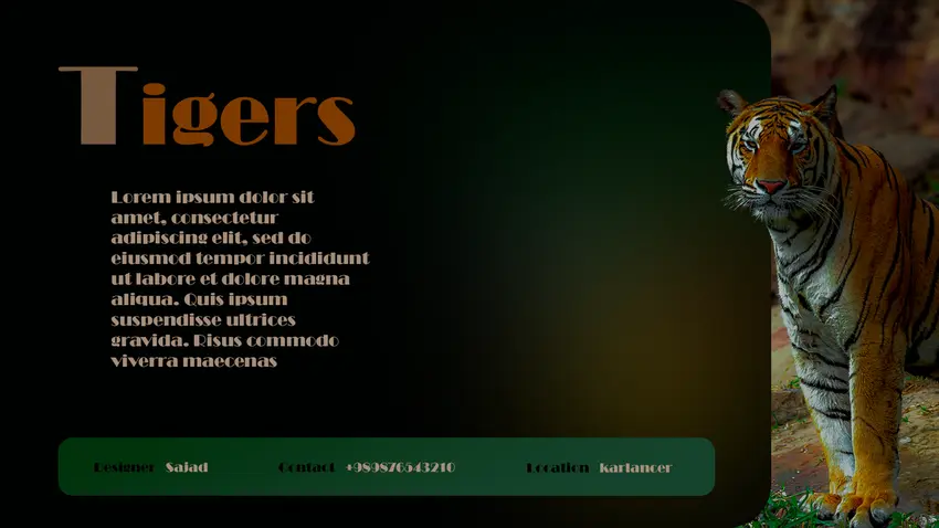 طراحی پوستر خام