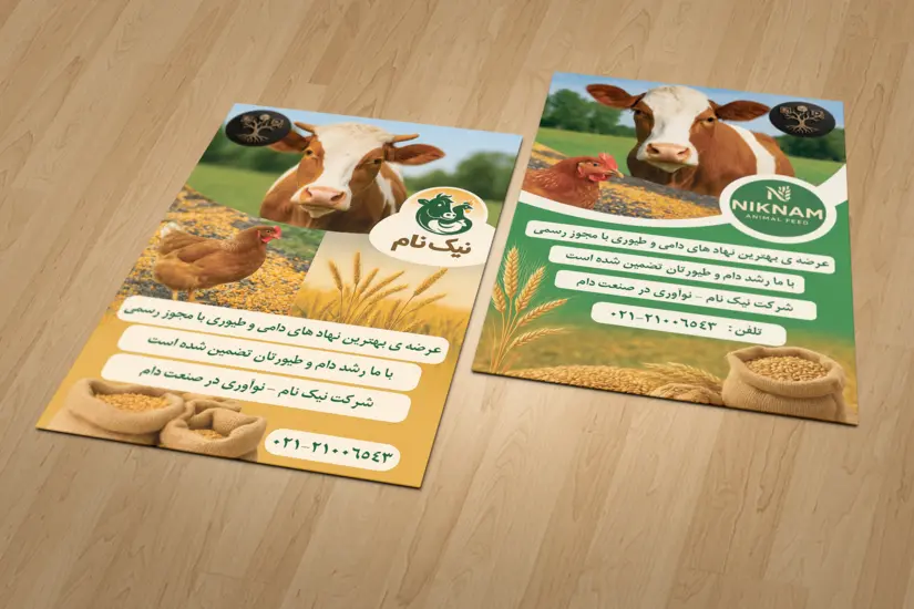 4-طراحی کارت ویزت، بروشور و پوستر