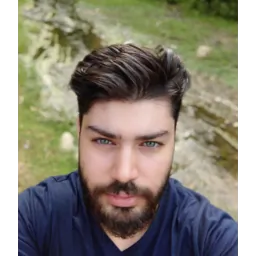 ali-farhang