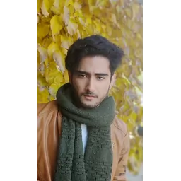 امیرحسین جاویدان