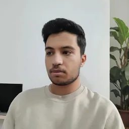 علیرضا بیگی