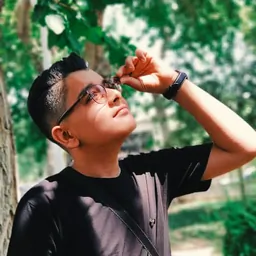 mohammadhussein sabouni
