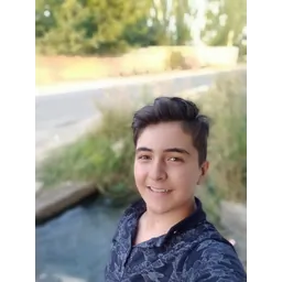 امیرمحمد قولیخانی