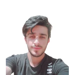 javid maghsoodi