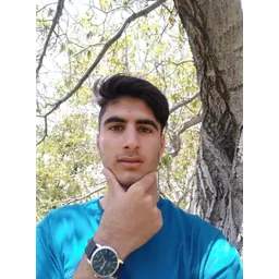 تدوینگر حرفه‌ای