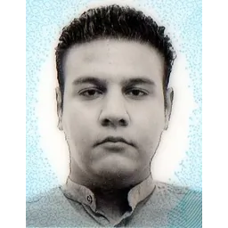 محمد امین مبصری