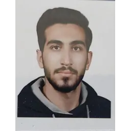 Mojtaba Ghaniee