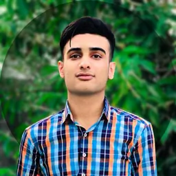 امیررضا نمردی