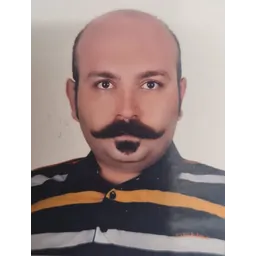 علی سلورزیان