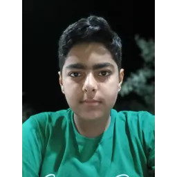 google101611355532276083775