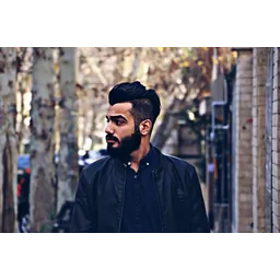 امیرحسین اردلان