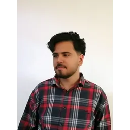 سید محمد یوسف مهدی