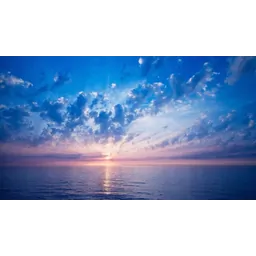 آرش کریمی نژاد