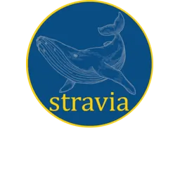 یاسین