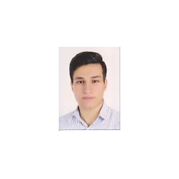 mohamma javad tavanayee ranjbar