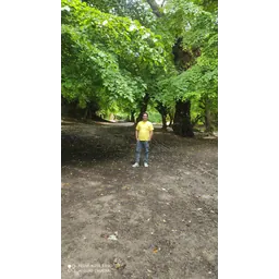 google102792216174614722154