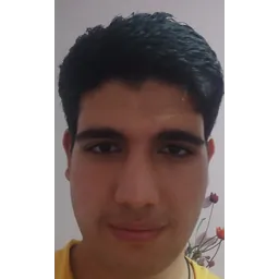محمد امیر کریمی