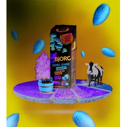 مینا علیمحمدی