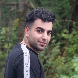 محمد سلیمانی