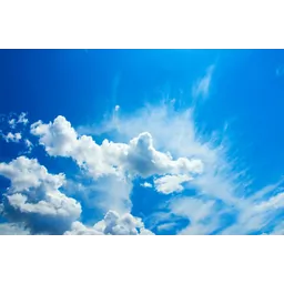 فایزه محدث پور