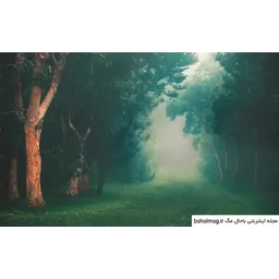 ایمان مصیبی