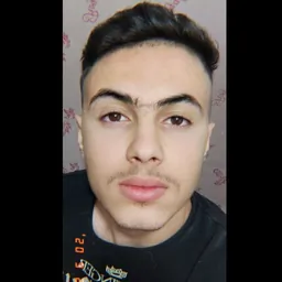 میکاییل نوروزی