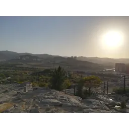 سحر صلاحی
