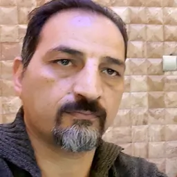 reza borhannejad