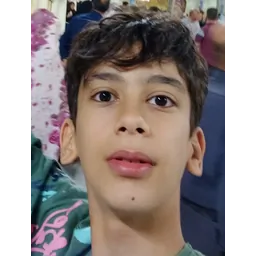 gmohammad-taha-ashyeri