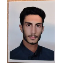 محمد حسین طبیبیان