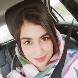 fatemeh hosseini
