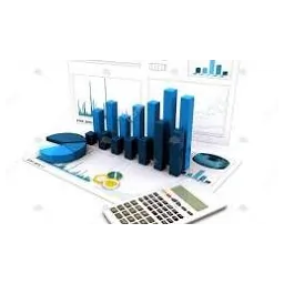 راضیه هوشمند