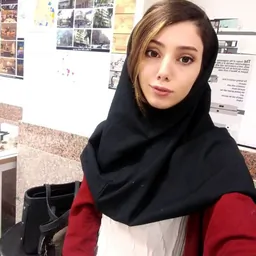 نوشین پورحسن