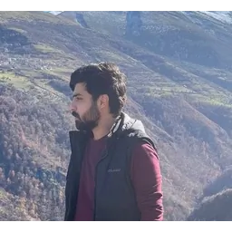 شایان مرشدی