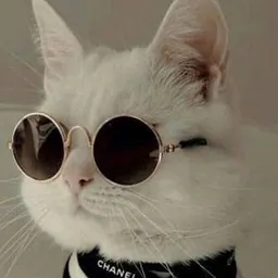 علیرضا فریدونی